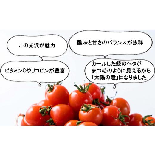 ふるさと納税 トマト ミニトマト 北海道 新ひだか町  9／15までの受付 北海道産 ミニトマト 太陽の瞳 L サイズ 1kg 新ひだか町_3