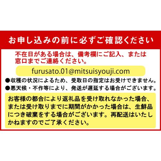 ふるさと納税 トマト ミニトマト 北海道 新ひだか町  9／15までの受付 北海道産 ミニトマト 太陽の瞳 L サイズ 1kg 新ひだか町_6