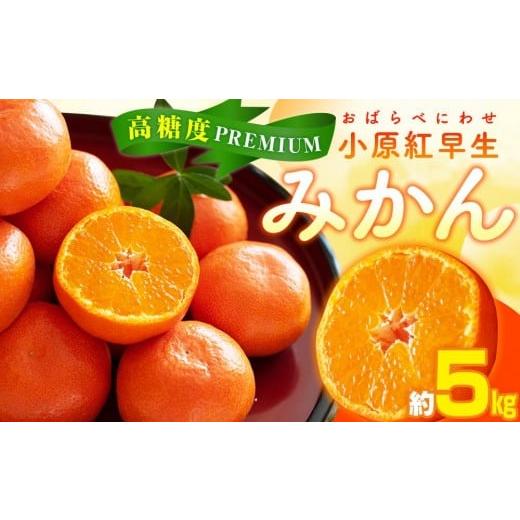 ふるさと納税 果物類 みかん 香川県 高松市 高糖度 プレミアム小原紅早生みかん 約5kg 2026年11月中旬〜2027年1月中旬配送