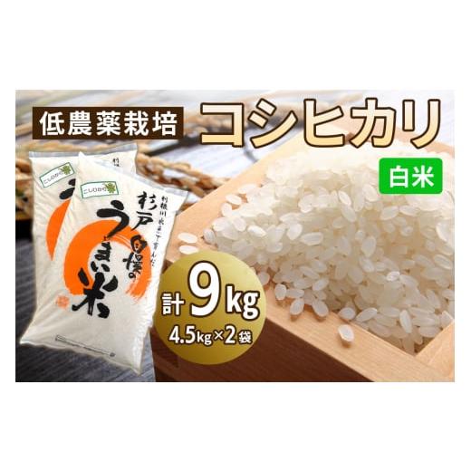 ふるさと納税 米 コシヒカリ 埼玉県 杉戸町 低農薬栽培のコシヒカリ[白米]9kg (4.5kg×2袋)|おいしい お米 コメ こめ ご飯 ごはん お取り寄せ 直送 贈り物 …
