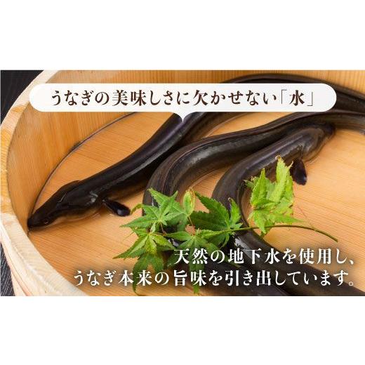 ふるさと納税 うなぎ 佐賀県 吉野ヶ里町 お店と変わらない味 ？ふっくらジューシーのこだわりうなぎ 6回定期便 国産うなぎ蒲焼 3枚セット 丸安 FAD007_4