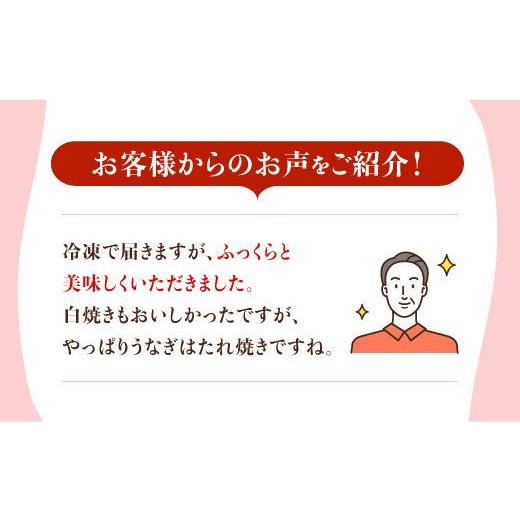 ふるさと納税 うなぎ 佐賀県 吉野ヶ里町 お店と変わらない味 ？ふっくらジューシーのこだわりうなぎ 6回定期便 国産うなぎ蒲焼 3枚セット 丸安 FAD007_6