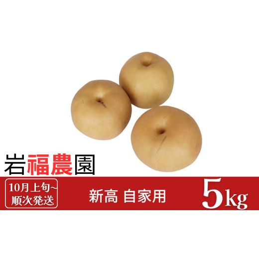 ふるさと納税 梨 新潟県 三条市 和梨 新高梨 自家用 5kg 新潟県産 訳アリ 梨 岩福農園