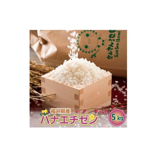 ふるさと納税 福井県 坂井市 [令和5年産]ハナエチゼン 5kg〜坂井市三国町産・こだわりの精米対応〜(上白米) [A-0237_01] 上白米