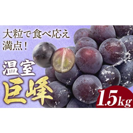 ふるさと納税 ぶどう 巨峰 茨城県 結城市 先行予約 農園直送 温室巨峰 1.5kg 阿部ぶどう園 果物類 ぶどう 巨峰 フルーツ 果物 温室巨峰 [7月中旬-8月末頃出…