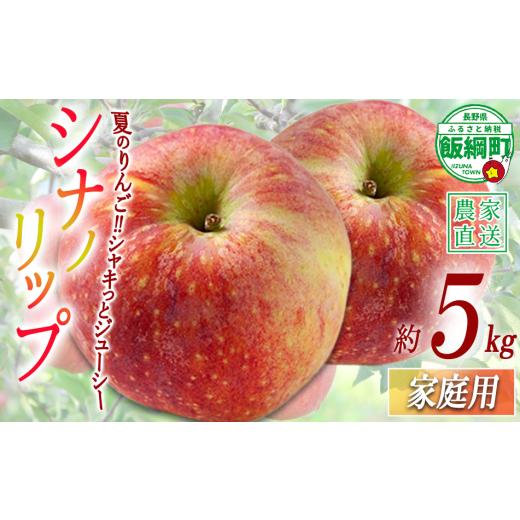 ふるさと納税 りんご 長野県 飯綱町 りんご シナノリップ 家庭用 5kg 渡辺農園 沖縄県への配送不可 2026年8月中旬頃から2026年8月下旬頃まで順次発送予定 令和…