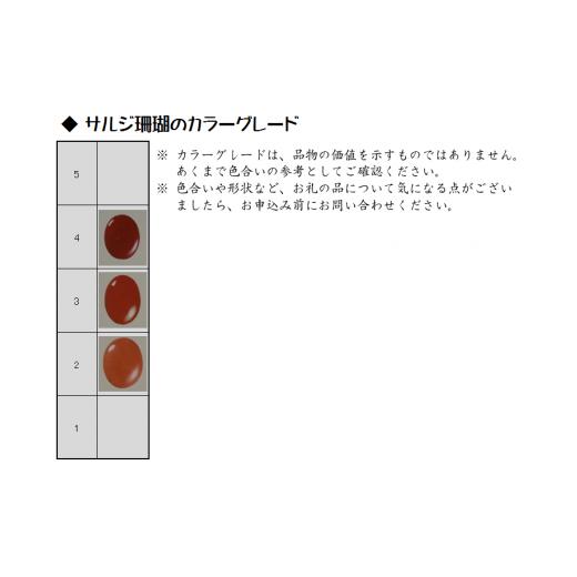 ふるさと納税 伝統技術 高知県 宿毛市 赤珊瑚玉オニキスメガネかけAの画像