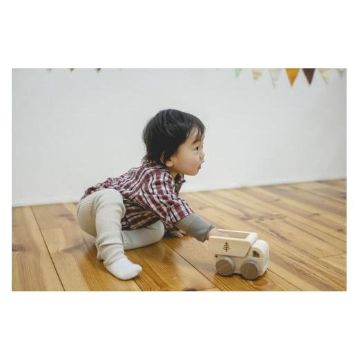 ふるさと納税 雑貨・日用品 玩具 岐阜県 中津川市 IKONIH オルゴールトラック F4N-0855