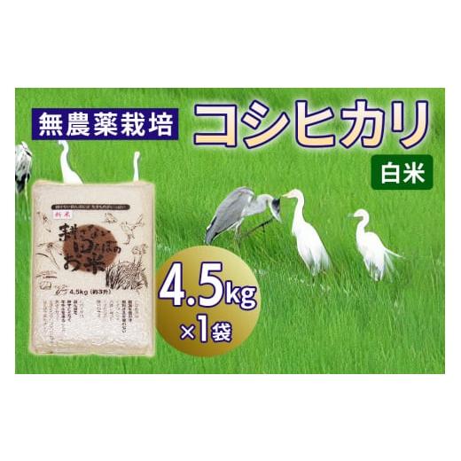 ふるさと納税 米 コシヒカリ 埼玉県 杉戸町 無農薬栽培 コシヒカリ[白米]4.5kg|おいしい お米 コメ こめ ご飯 ごはん お取り寄せ 直送 贈り物 贈答品 ふる…