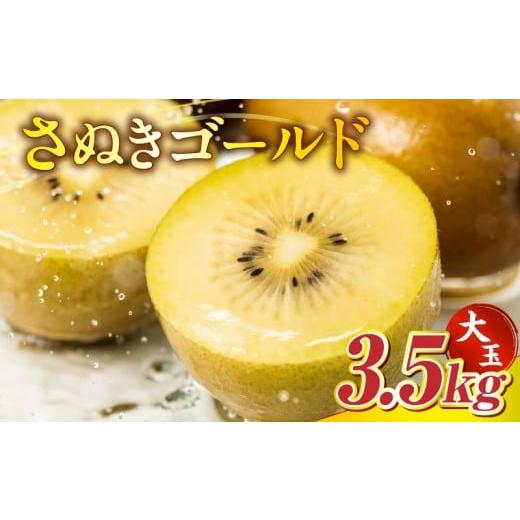 ふるさと納税 果物類 香川県 三木町 さぬきゴールド3.5kg(大玉) 香川県共通返礼品 |キウイ フルーツ デザート 果物 ゴールドキウイ 甘み 贈り物 贈答 旬 旬の…