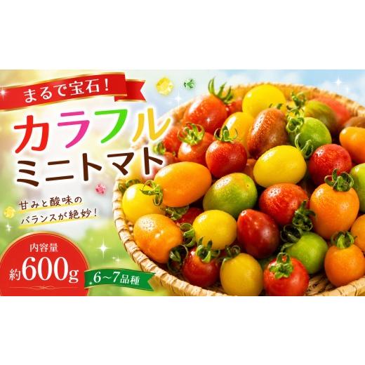 ふるさと納税 トマト ミニトマト 熊本県 阿蘇市 ふるさと納税 まるで宝石 カラフルミニトマト〜ふるさとセット〜 約600g×1箱 期間限定 数量限定 予約受付 甘…