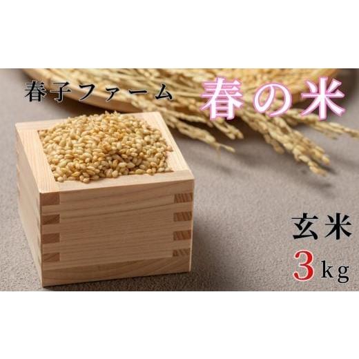 ふるさと納税 玄米 千葉県 東庄町 [令和7年産]春の米 玄米 3kg / 米 お米 こめ コメ ごはん 無農薬 農薬不使用 春の米 玄米 令和7年産 新米 3kg 千葉県 …