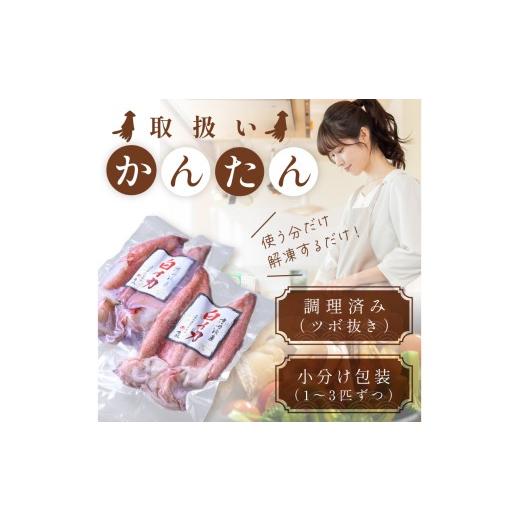 ふるさと納税 いか 京都府 京丹後市 BBQに至適 白いか（ケンサキイカ） 膳だて済み 内容物1.5kg入り口・入口（6〜12匹） 小分け無意味さ荷作り 海鮮 魚介 烏賊 膳だて済み バーベキ…