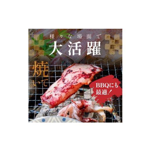 ふるさと納税 いか 京都府 京丹後市 BBQに至適 白いか（ケンサキイカ） 膳だて済み 内容物1.5kg入り口・入口（6〜12匹） 小分け無意味さ荷作り 海鮮 魚介 烏賊 膳だて済み バーベキ…