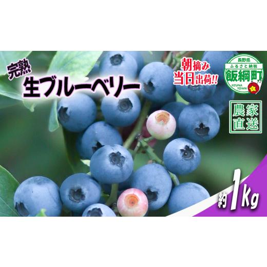 ふるさと納税 果物類 長野県 飯綱町 冷蔵便 朝摘み 完熟 ブルーベリー 1kg 井澤農園 配送先は本州限定 令和8年度収穫分 2026年7月上旬頃から2026年9月上旬頃…