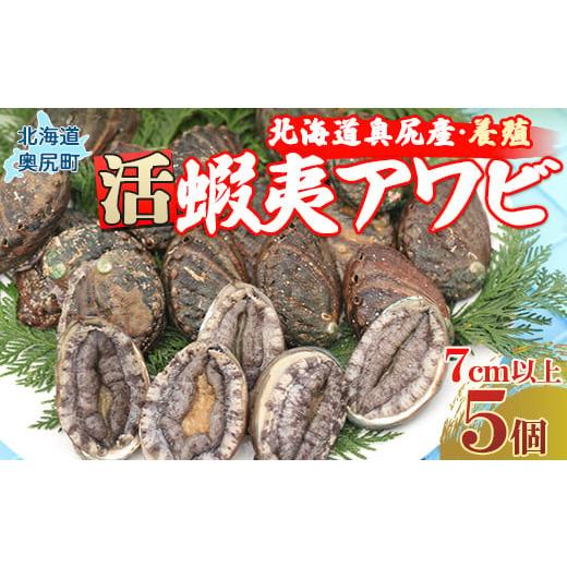 ふるさと納税 魚貝類 アワビ 北海道 奥尻町 奥尻産活蝦夷アワビ(養殖)5個入り 70mm以上 ふるさと納税 鮑 あわび アワビ 蝦夷あわび 蝦夷アワビ 蝦夷鮑 活 …