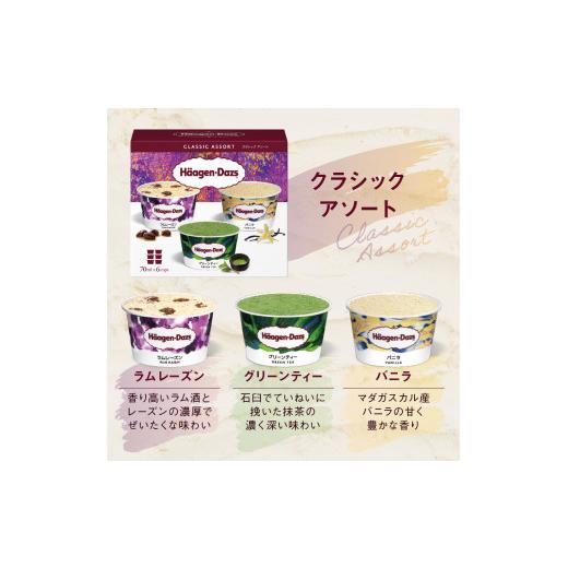 ふるさと納税 菓子 アイス 北海道 浜中町  着日指定できます ハーゲンダッツ『バラエティアソートボックス6箱セット』 アイス スイーツ デザート_H0016-124 6…の画像