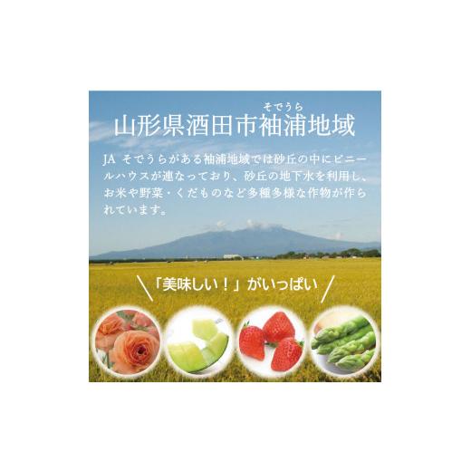 ふるさと納税 山形県 酒田市 SA1957　令和5年産【精米】ひとめぼれ　10kg(5kg×2袋) JS｜furusatochoice｜04