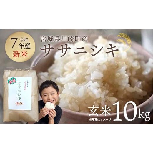 ふるさと納税 米 ササニシキ 宮城県 川崎町 令和7年産 みやぎ川崎産 ササニシキ 10kg(玄米)