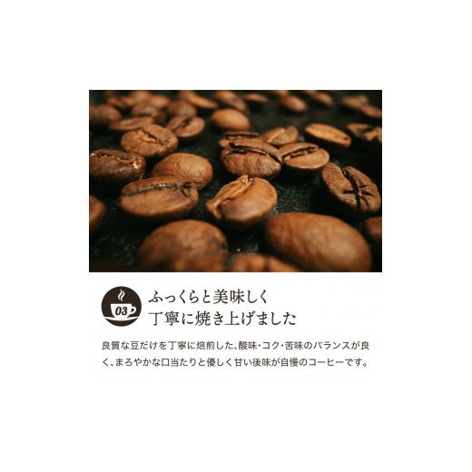 ふるさと納税 コーヒー コーヒー豆 岐阜県 関市 S20-35 カフェ・アダチ 店主現地視察の買い付けした最高のバリ・アラビカ 1kgの画像