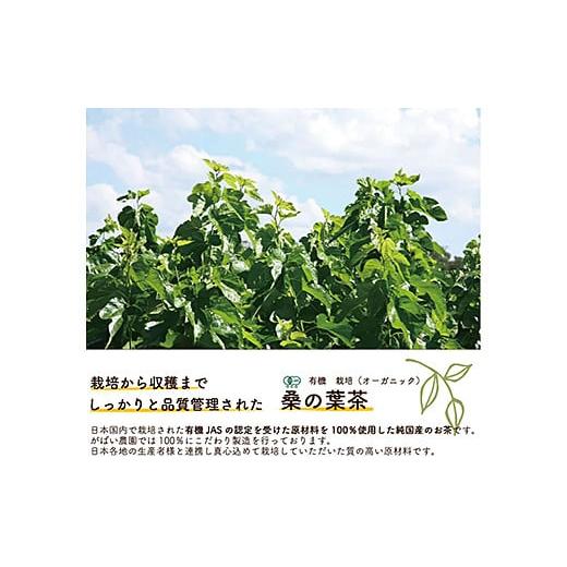 ふるさと納税 佐賀県 佐賀市 有機栽培 桑の葉茶（3個セット）：B210-003｜furusatochoice｜05