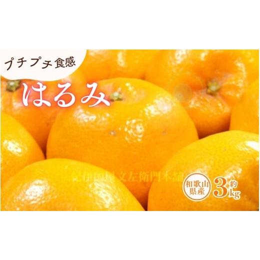 ふるさと納税 果物類 みかん 和歌山県 北山村 はるみ 約3kg/サイズおまかせ 2026年1月下旬〜2026年3月中旬頃に順次発送(お届け日指定不可) 紀伊国屋文左衛…