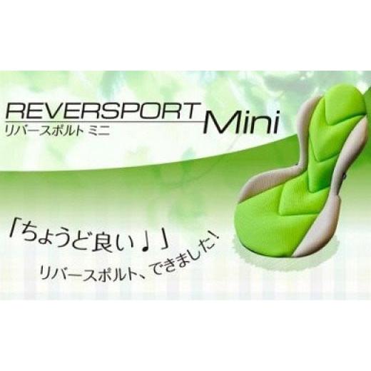 ふるさと納税 スポーツ・アウトドア 愛知県 蒲郡市 G0055 リバースポルトミニ:配送情報備考 グリーン×ベージュ グリーン×ベージュ