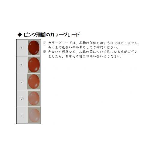 ふるさと納税 伝統技術 高知県 宿毛市 海の秘宝珊瑚：置物Jの画像