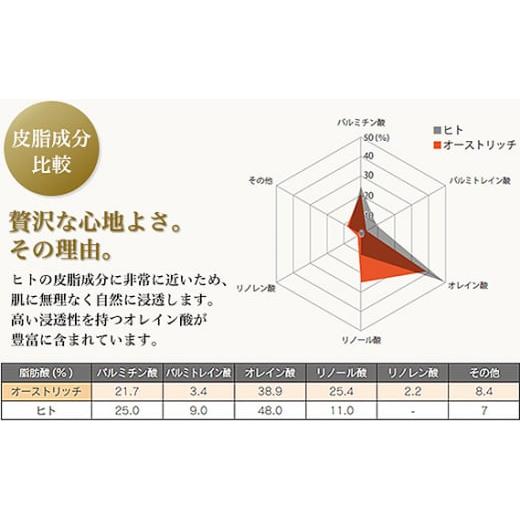 ふるさと納税 埼玉県 美里町 プラチナ＆オーストリッチクリーム【定期便】3か月毎月お届け【エイジングケアの決定版】 [No.093]     商品情報    容量クリーム45g、スパチュラ1ヶ（サイズ：縦6.8×横6.8×高さ7 IQY1863797453(18500円)