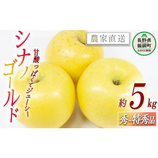 ふるさと納税 りんご 長野県 飯綱町 りんご シナノゴールド 秀 〜 特秀 5kg 松橋りんご園 沖縄県への配送不可 2026年11月上旬頃から2026年12月中旬頃まで順次…