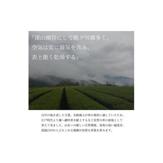 ふるさと納税 お茶類 緑茶（飲料） 岐阜県 東白川村 茶蔵園厳選 茶師のおすすめセット 3袋入 お茶 日本茶 緑茶 煎茶 春摘み一番茶 一番茶 高級 特上 最高評価 …_5