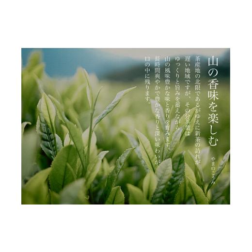 ふるさと納税 お茶類 緑茶（飲料） 岐阜県 東白川村 茶蔵園厳選 茶師のおすすめセット 3袋入 お茶 日本茶 緑茶 煎茶 春摘み一番茶 一番茶 高級 特上 最高評価 …_6