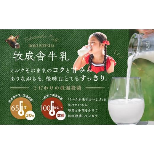 ふるさと納税 菓子 アイス 岐阜県 飛騨市 《牧成舎》こだわりの生乳で作った乳製品 3回 定期便 最中アイス ピザ ヨーグルト チーズ 牛乳 飲むヨーグルト 定期…_6
