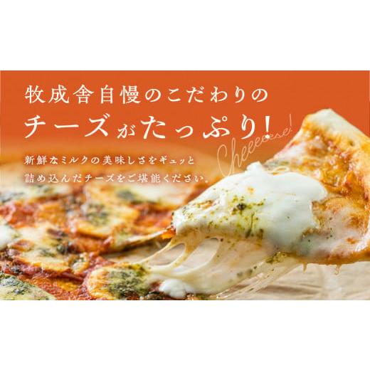ふるさと納税 菓子 アイス 岐阜県 飛騨市 《牧成舎》こだわりの生乳で作った乳製品 3回 定期便 最中アイス ピザ ヨーグルト チーズ 牛乳 飲むヨーグルト 定期…_8