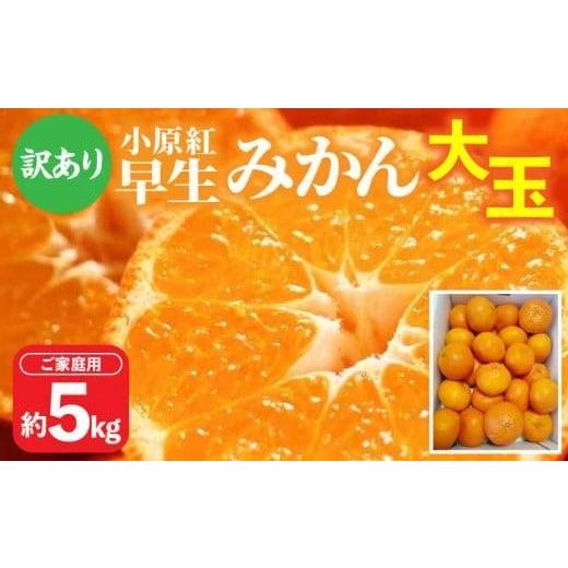 ふるさと納税 果物類 みかん 香川県 高松市 訳あり ご家庭用小原紅早生みかん(大玉) 約5kg 2026年11月中旬〜2027年1月中旬配送 |早生ミカン みかん 早生み…
