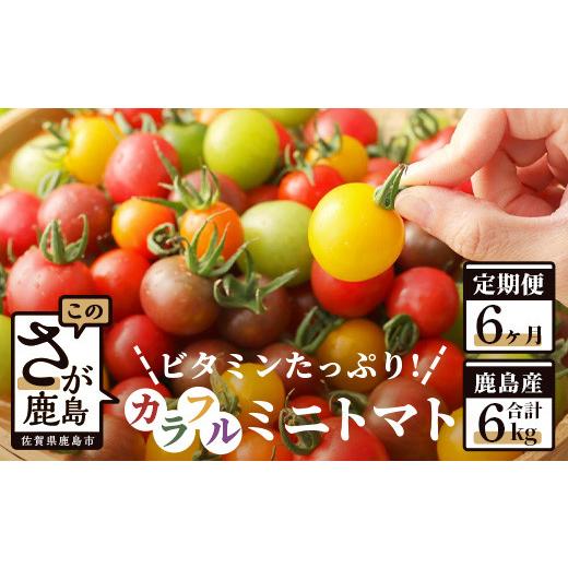 ふるさと納税 トマト ミニトマト 佐賀県 鹿島市 6回定期便 先行受付 2027年1月より順次発送| カラフルミニトマト6種1kg|ミニトマト トマト プチトマト JGAP…