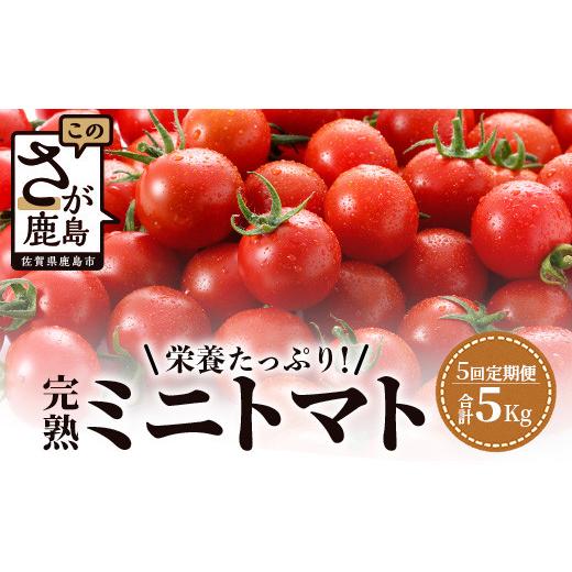 ふるさと納税 トマト ミニトマト 佐賀県 鹿島市 5回定期便 先行受付 2027年1月より順次発送予定|完熟ミニトマト 1kg|ミニトマト トマト プチトマト 農家…
