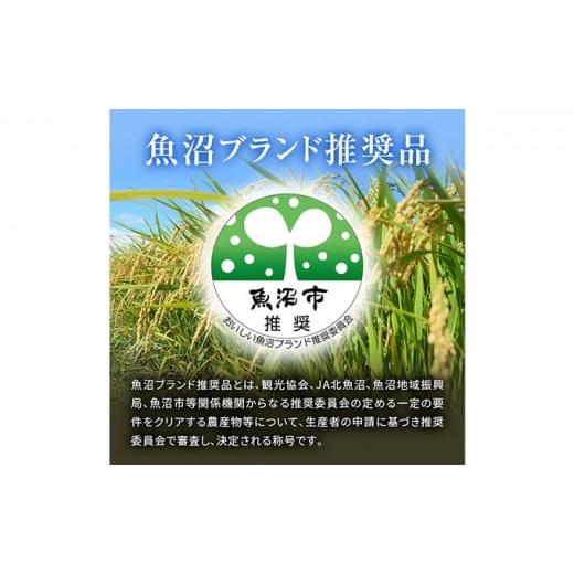 ふるさと納税 新潟県 魚沼市 [No.5762-0632]令和5年産 魚沼 天下一コシヒカリ（商標） 3kg 本当に旨い飯に おかずはいらない 魚沼産 コシヒカリ ( 米 お米 こ…｜furusatochoice｜03