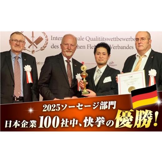 ふるさと納税 肉 ハム 長崎県 長与町 ハム詰合せ ぜいたく9品／雪の浦手造りハム EAM021 ハムソーセージ ハム はむ ハム国産 詰め合わせ 人気 詰合せ おすすめ…_3