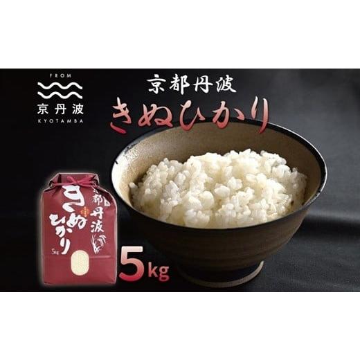 ふるさと納税 米 京都府 京丹波町 京丹波きぬひかり 5kg 令和7年産 京都 精米 キヌヒカリ 010MB002 5kg(5kg×1袋)