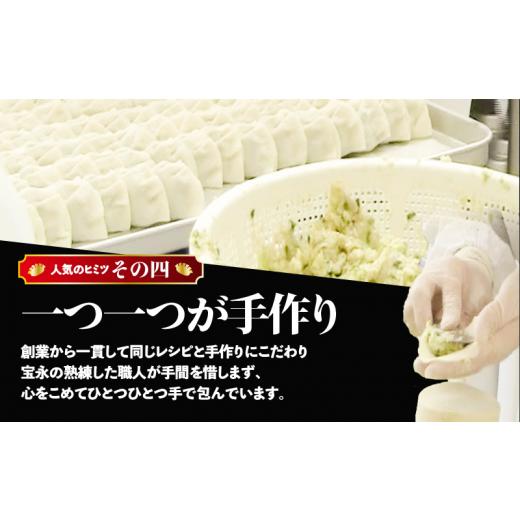 ふるさと納税 北海道 苫小牧市 宝永オリジナル餃子セット【宝永餃子 500g×5袋】　T004-001｜furusatochoice｜07