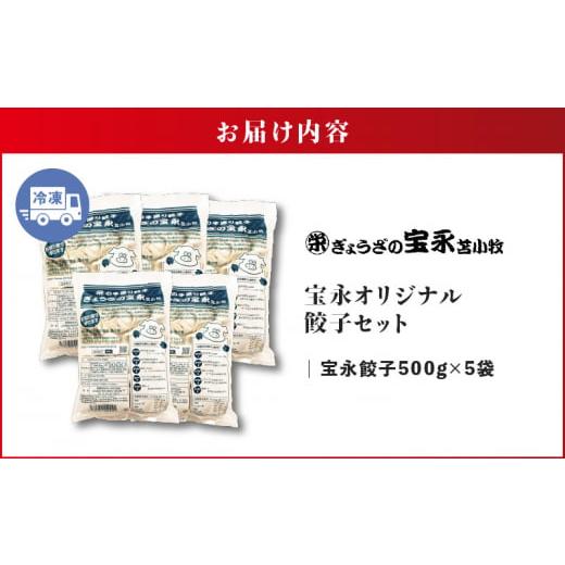 ふるさと納税 北海道 苫小牧市 宝永オリジナル餃子セット【宝永餃子 500g×5袋】　T004-001｜furusatochoice｜09