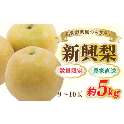 ふるさと納税 梨 福井県 あわら市 先行予約 [数量限定]新興梨 9〜10玉入 約5kg 歯ごたえ抜群 2026年10月中旬より順次発送 aw042-a002