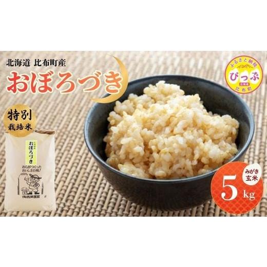 ふるさと納税 玄米 北海道 比布町 令和7年産 特別栽培米 おぼろづき みがき玄米 5kg 西間農園 玄米 お米 米 北海道産 北海道米 国産 コメ JGAP認証農場 北海道…