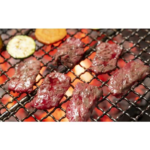 ふるさと納税 牛肉 焼肉・バーベキュー 岩手県 久慈市 3月お届け分 「山形村短角牛炭焼き用セット(冷蔵:肩ロースステーキ250g、手切りカルビ150g、焼肉用…