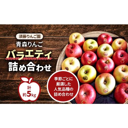 ふるさと納税 青森県 青森市 [令和6年11月中旬発送開始]青森りんご バラエティ詰め合わせ 約5kg(家庭用)