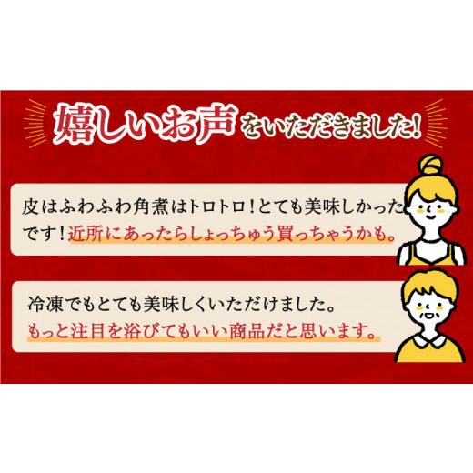 ふるさと納税 肉 長崎県 長与町 全3回定期便 化粧箱 長崎角煮まんじゅう12個＆大とろ角煮まんじゅう10個 EAB034 岩崎本舗 岩崎 角煮まん 角煮まんじゅう 大と…_9