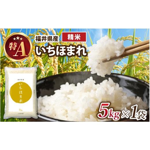 ふるさと納税 米 福井県 福井市 生活応援 令和7年産 福井が生んだブランド米「福井県産いちほまれ」 5kg 1袋 精米 A-014002 / 米 こめ お米 いちほまれ コメ …