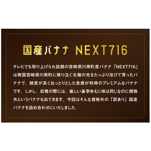 ふるさと納税 果物類 宮崎県 川南町  訳あり 国産バナナ１ｋｇ　6ヶ月定期便_2