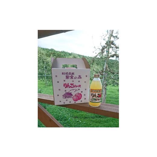ふるさと納税 栃木県 那須町 那須果実の森りんごジュース〔A-27〕≪リンゴジュース 林檎ジュース 100% 果物 フルーツ ≫